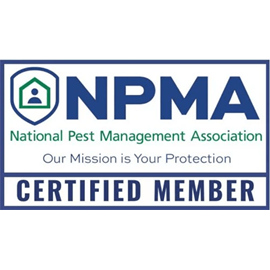 pest control franchise